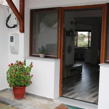 Villa Sofia Marathos  Exteriör bild