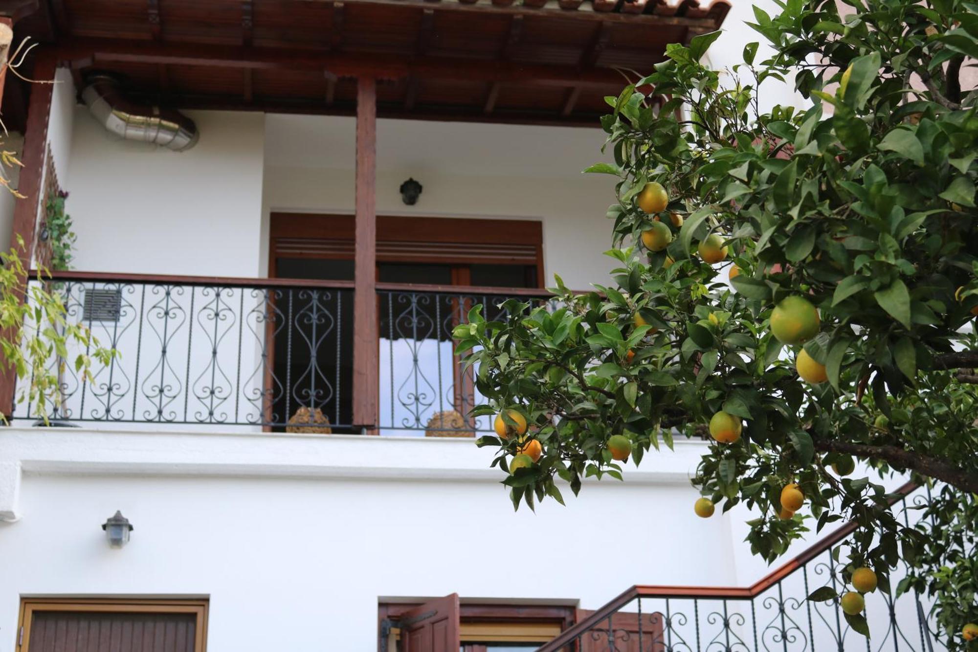 Villa Sofia Marathos  Rum bild