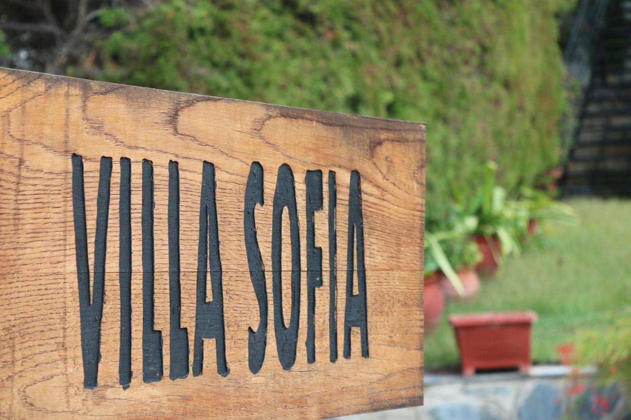 Villa Sofia Marathos  Exteriör bild