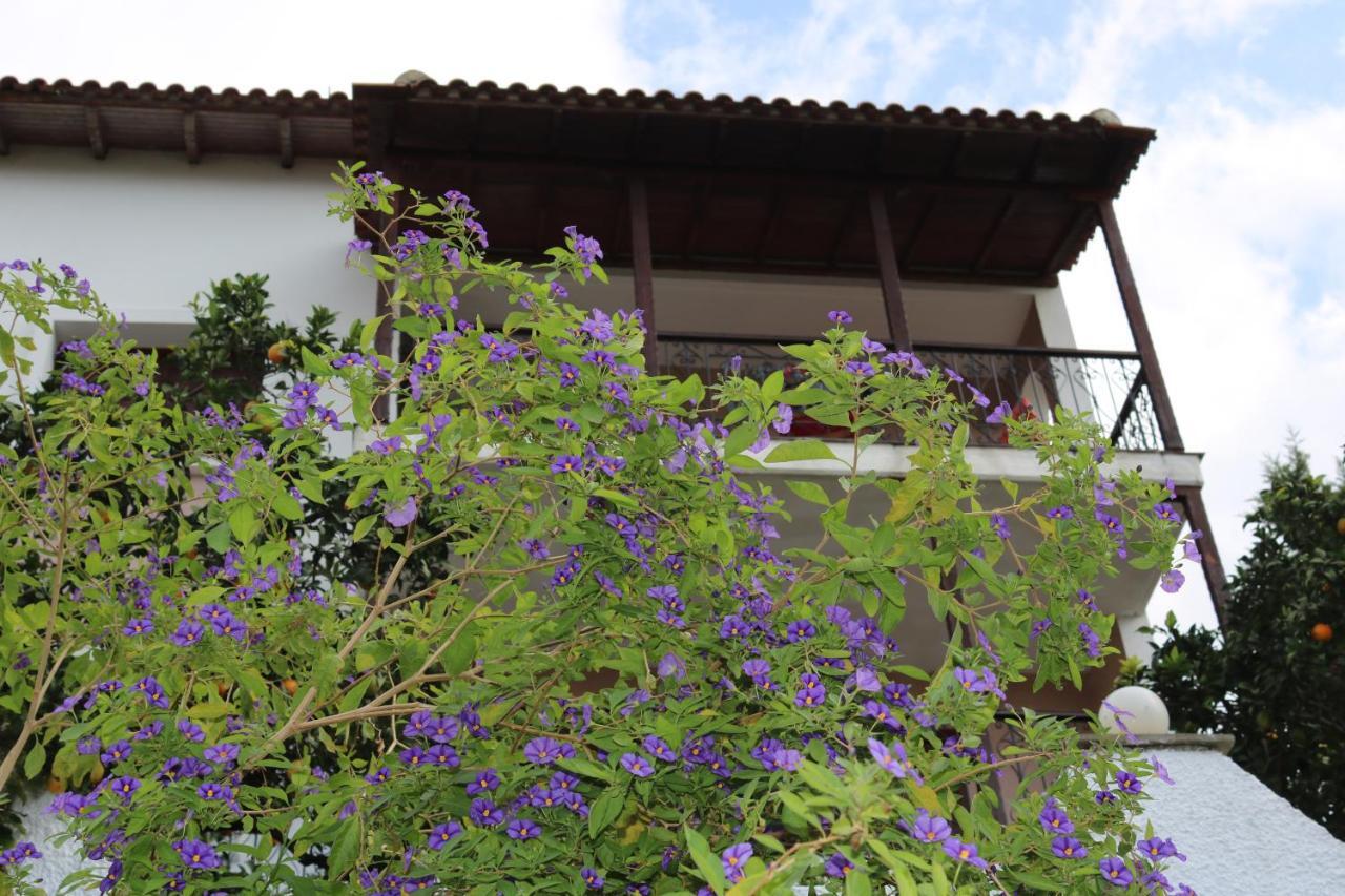 Villa Sofia Marathos  Exteriör bild